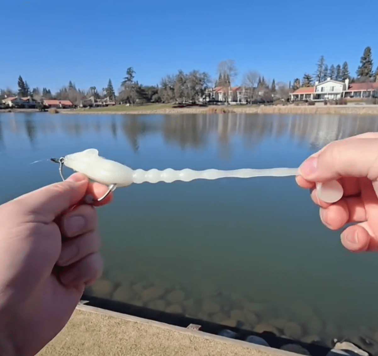 👨🍳 Cooking at SacPig Bait Co.